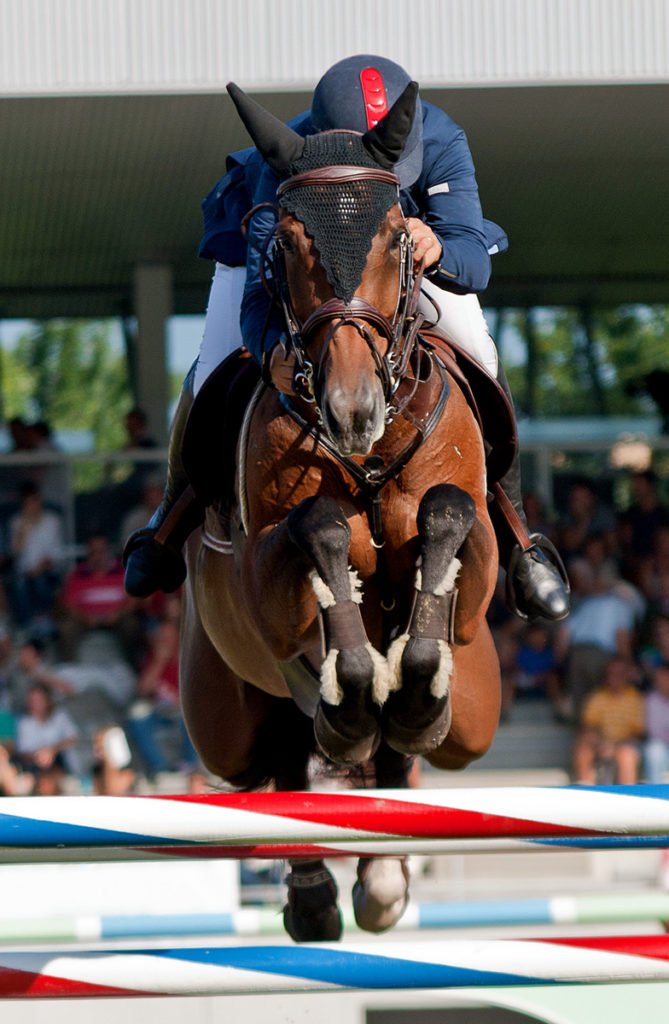 horse jumping over an aluminum horse show jump facing straight